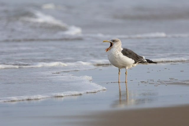 四川單招推薦學(xué)校最便宜