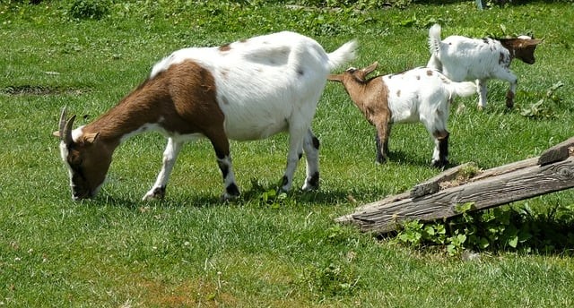 成都市育華職業(yè)學校2024招生簡介 成都市育華職業(yè)學校2024招生簡介