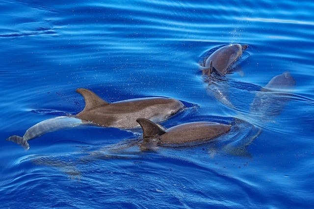 達(dá)州升華職業(yè)技術(shù)學(xué)校2025年春季招生簡(jiǎn)介