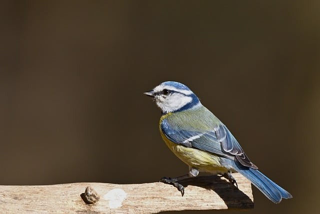 四川省雙流建設(shè)職業(yè)技術(shù)學(xué)校招生簡介