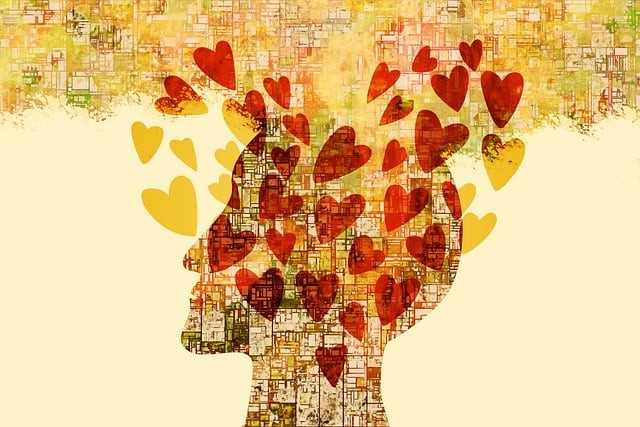 戴氏單招，戴氏高考中心官網(wǎng)