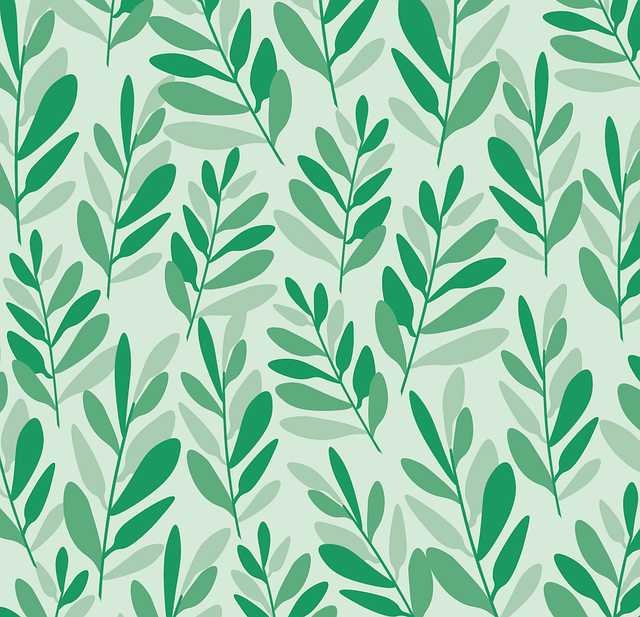 涼山單招培訓排行，涼山招生考試網(wǎng)