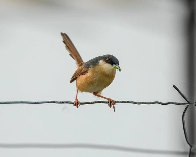 四川儀隴單招名單查詢 四川儀隴單招名單查詢