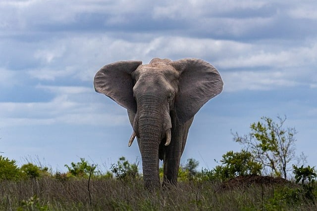 四川單招往年錄取名次表