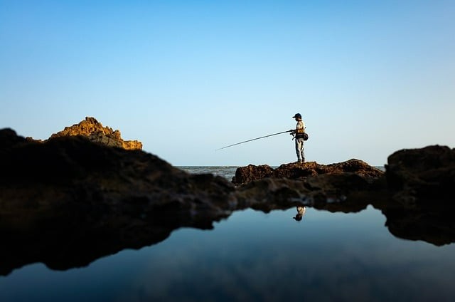 四川單招各學(xué)校專業(yè)查詢 四川單招各學(xué)校專業(yè)查詢