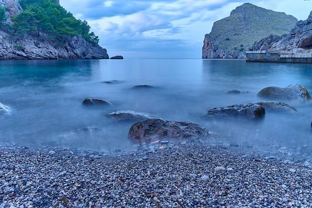 四川單招在線學習平臺 四川單招在線學習平臺