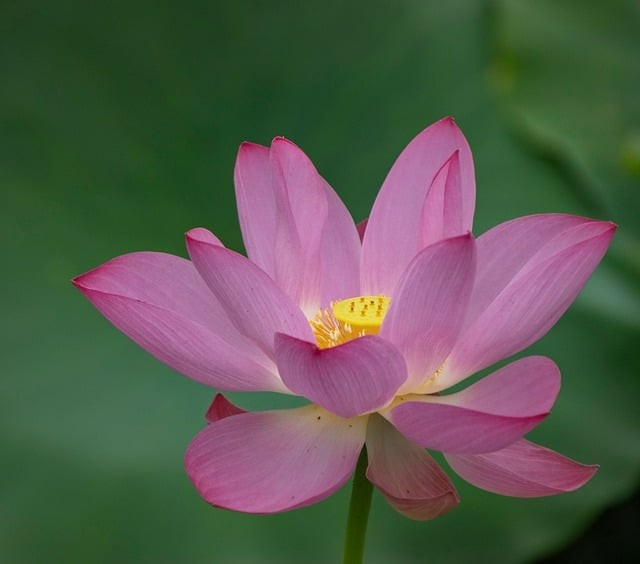 巴中市第三中學(xué)2024招生簡介