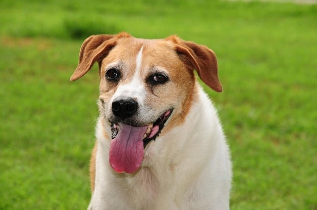 四川單招校企合作情況