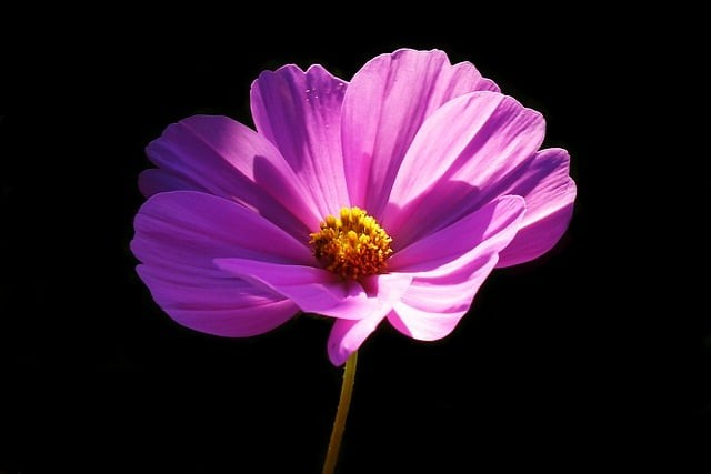 成都市科華職業(yè)技術(shù)學(xué)校助學(xué)獎(jiǎng)學(xué)政策