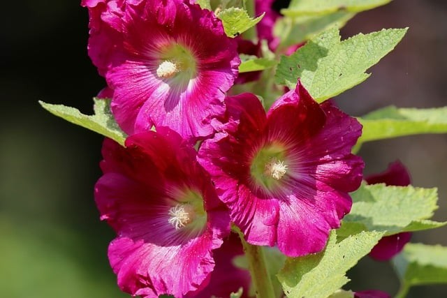 四川省興文縣職業(yè)技術(shù)學校就業(yè)前景