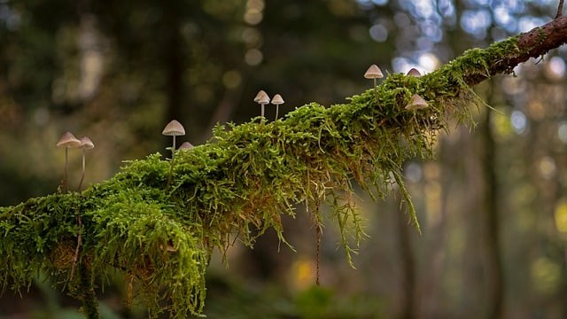 成都市技師學院2025年招生錄取分數(shù)線