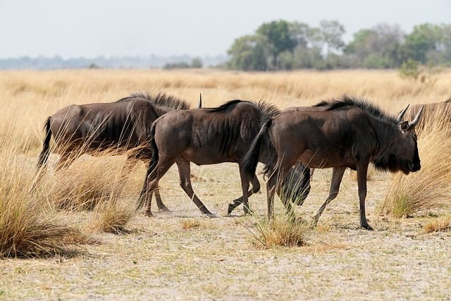 四川單招多久備考