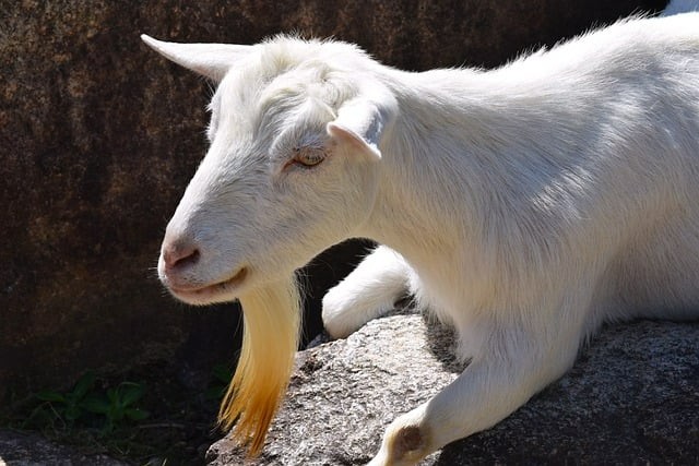 邛崍市第二中學(xué)2024招生簡介