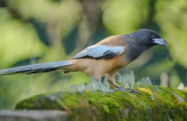 榮縣金科職業(yè)技術(shù)學校2025年招生錄取分數(shù)線