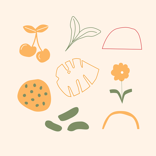 成都普華單招培訓學校有獎學金，普華 成都