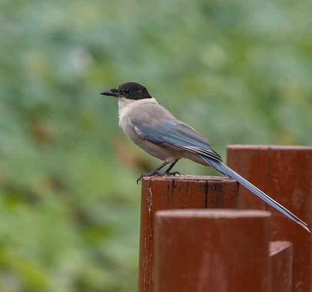 成都市成工科技工程技工學(xué)校是公辦還是民辦