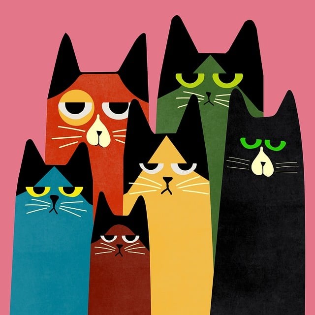 成都藝術(shù)職業(yè)大學(xué)校園環(huán)境如何，寢室好不好