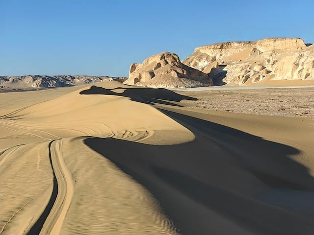 四川26年單招時(shí)間安排