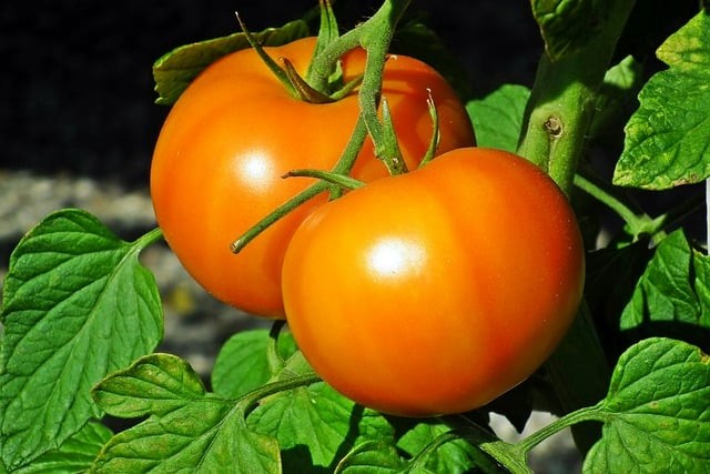 四川單招推薦本科學(xué)校