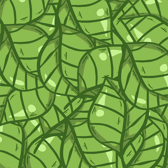 貴州省畜牧獸醫(yī)學(xué)校2025年分?jǐn)?shù)線多少