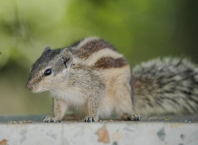 成都市工程職業(yè)技術(shù)學校簡介