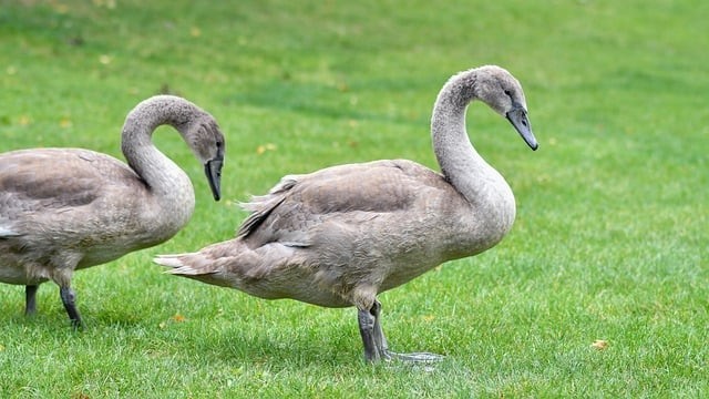 四川單招填志愿幾號結(jié)束