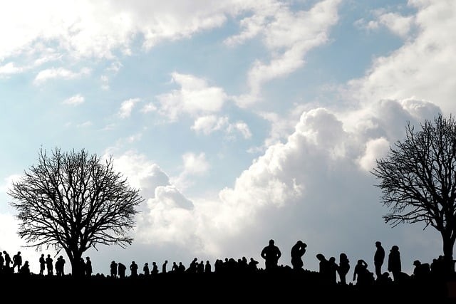 四川成都單招培訓(xùn)機構(gòu)2025，成都單招培訓(xùn)哪個機構(gòu)最好