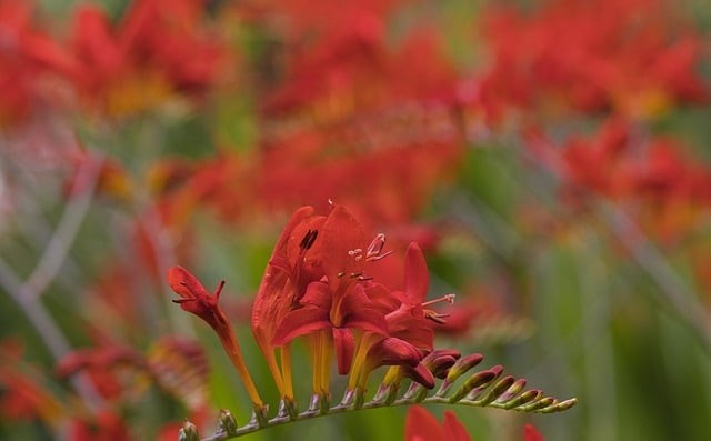 四川單招早讀時(shí)間表
