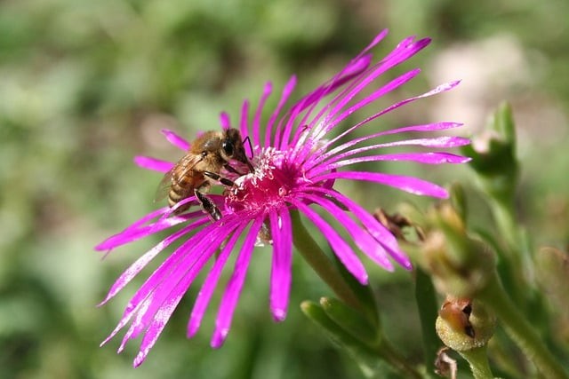 四川單招多久填完志愿