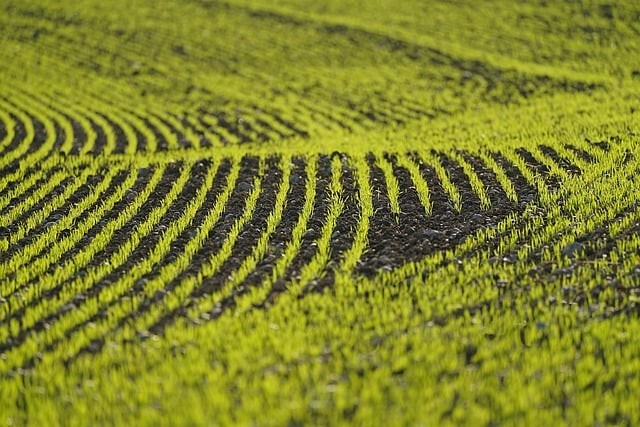 四川單招沒有面試