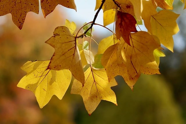 四川省南江縣第二中學辦學理念