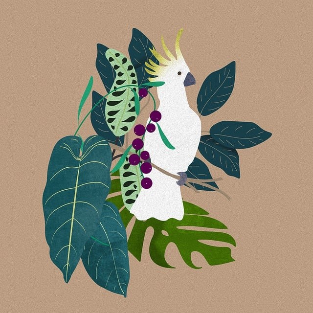 四川單招培訓(xùn)班排名遂寧，遂寧單招培訓(xùn)機構(gòu)