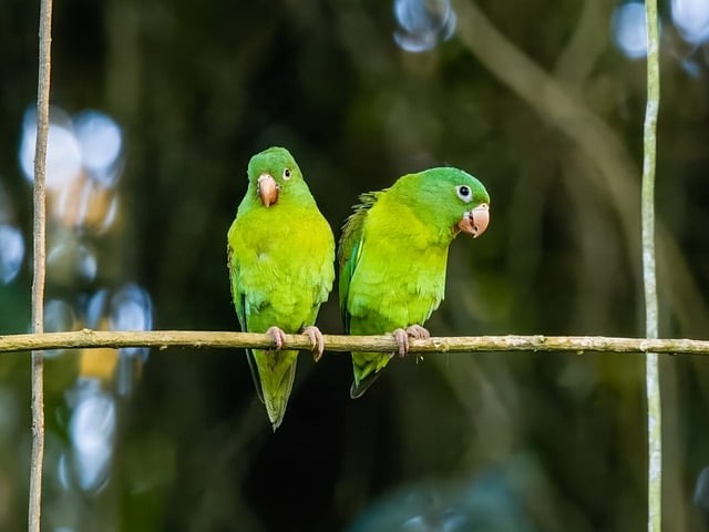 成都市溫江區(qū)燎原職業(yè)技術(shù)學(xué)校招生簡(jiǎn)介