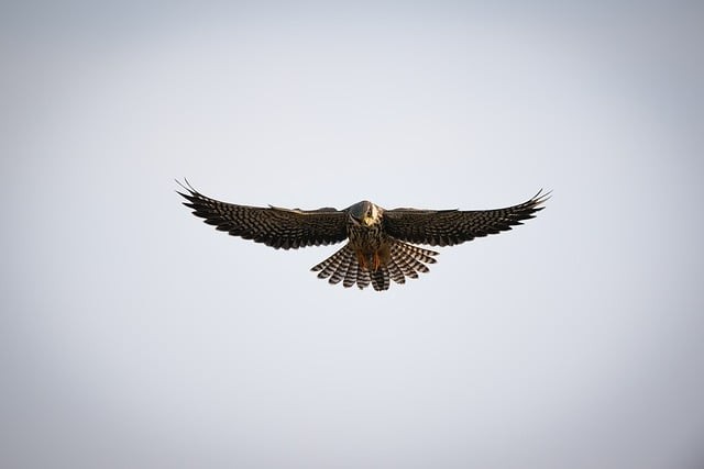 成都市鐵路技術(shù)學(xué)校開設(shè)了什么專業(yè)？學(xué)校位置在哪？