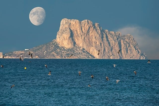 四川單招小趙老師