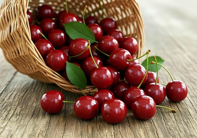 單招四川出成績的學(xué)校