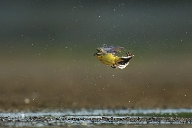 四川25數(shù)學(xué)單招