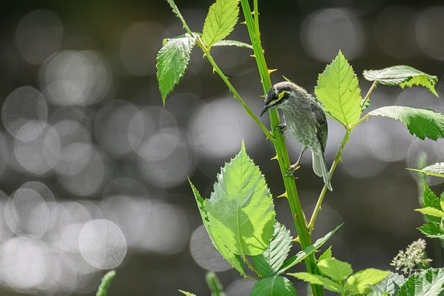 四川單招好久錄取啊 四川單招好久錄取啊