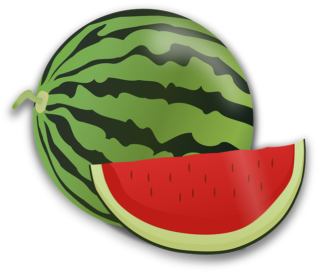 西昌鯤鵬單招培訓(xùn)，西昌鯤鵬保安公司