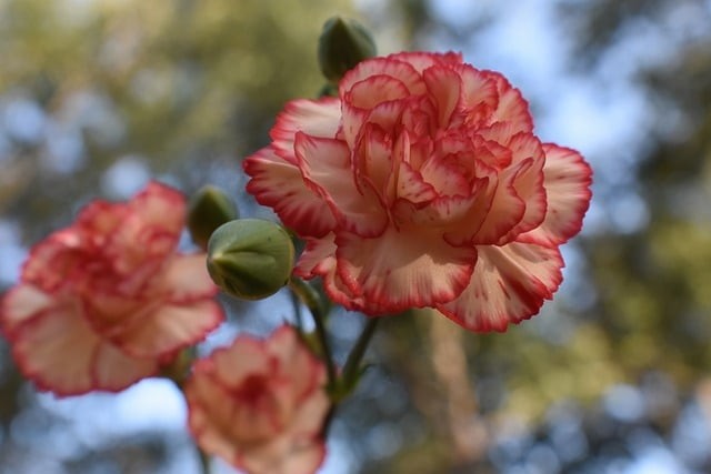 明陽單招2022升學率，明陽單招2022升學率高嗎