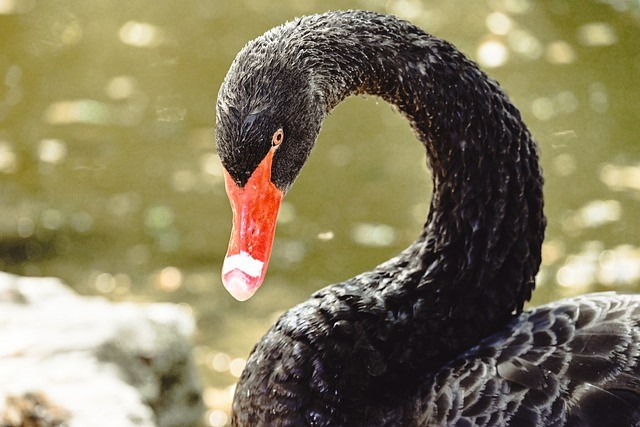 四川單招培訓(xùn)宿舍 四川單招培訓(xùn)宿舍