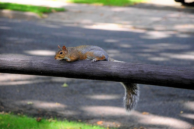 四川單招升學(xué)李老師 四川單招升學(xué)李老師