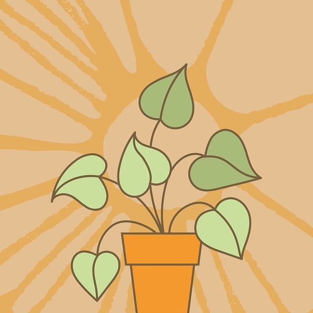 戴氏單招騙局，復(fù)讀機(jī)構(gòu)聯(lián)系戴氏高考復(fù)讀總校