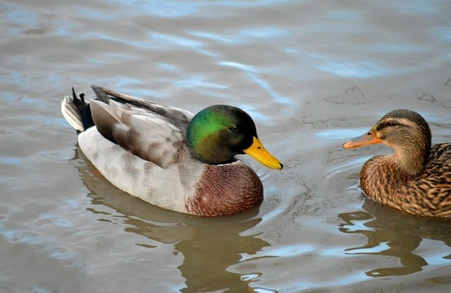 德陽電子工程學校2025年招生錄取分數(shù)線