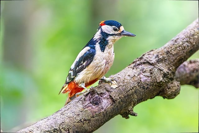 成都市金沙職業(yè)技術(shù)學(xué)校升學(xué)渠道有什么？就業(yè)有什么保障？