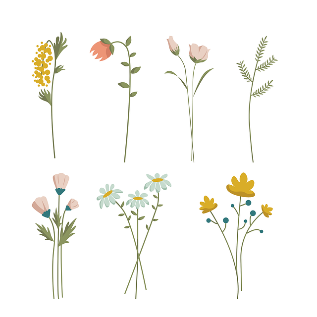 四川社會(huì)生單招培訓(xùn)基地，四川省單招培訓(xùn)機(jī)構(gòu)