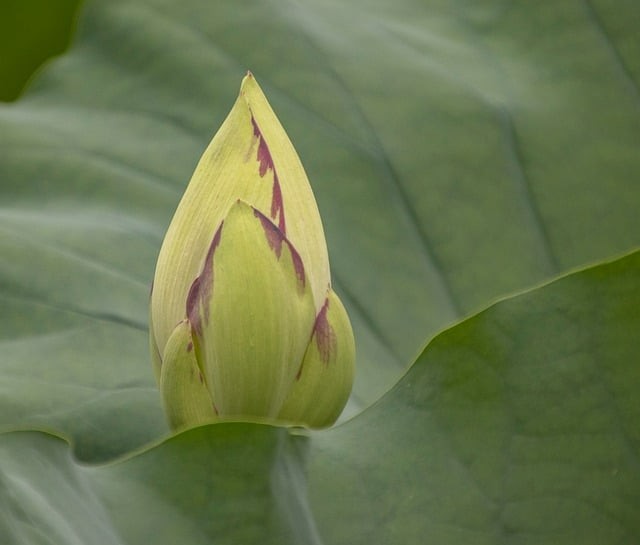 四川單招怎么才能上公辦