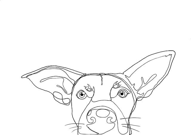 資陽單招培訓(xùn)介紹，資陽教育工單招報(bào)名