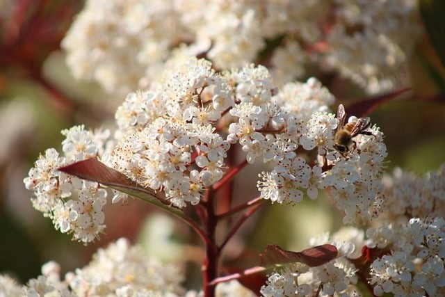 四川單招寢室好的公辦