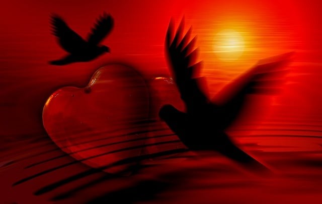 空姐可以工作多少年